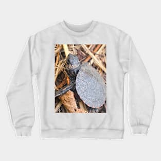 Baby Snapping Turtle Crewneck Sweatshirt